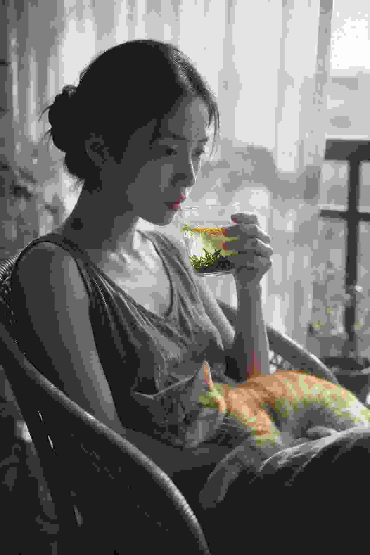 动漫作品